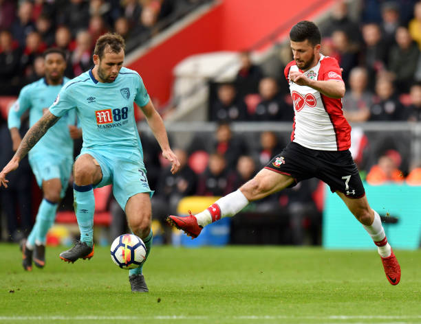 天津津门虎 天津津门虎