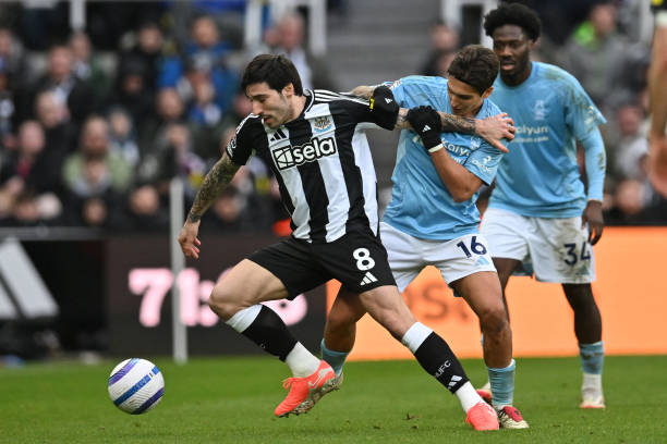 引发了广泛 引发了广泛