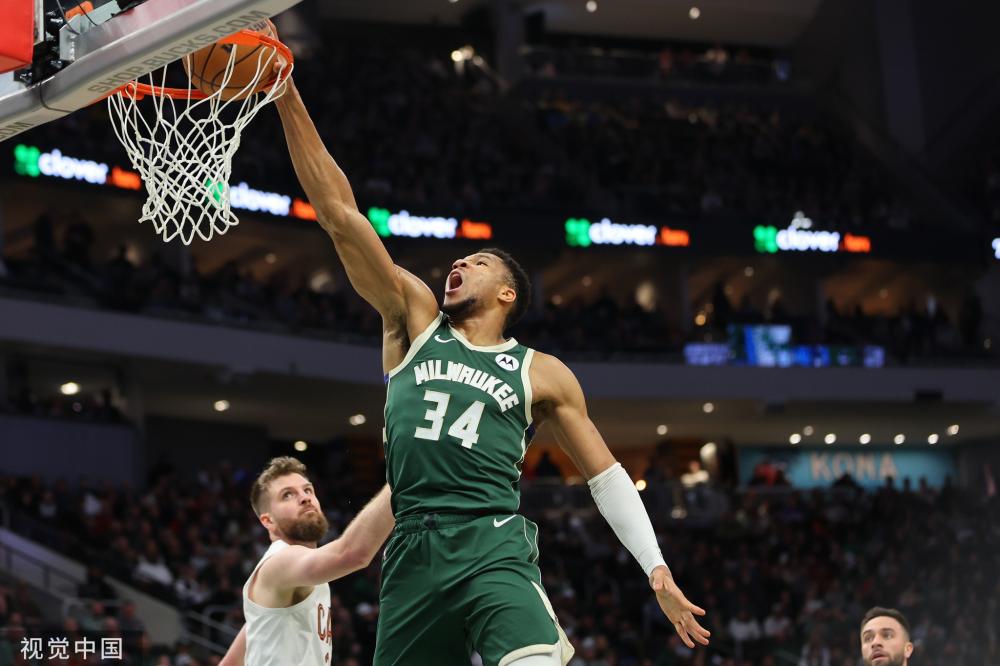 同属于一个 同属于一个