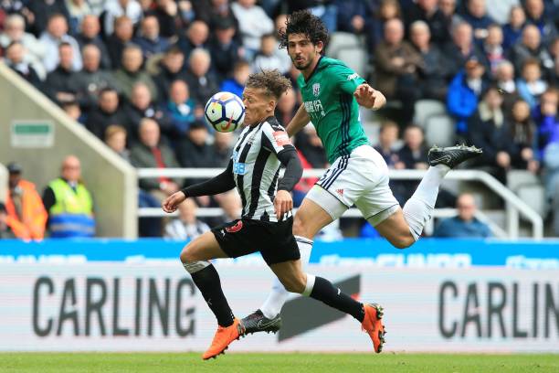 市场中的普 市场中的普