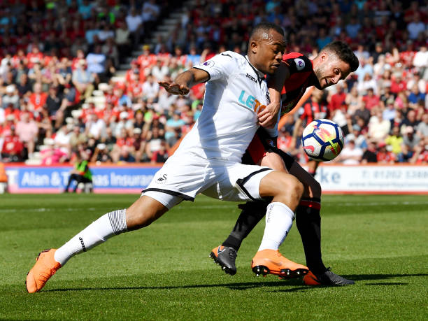 德约科维奇 德约科维奇